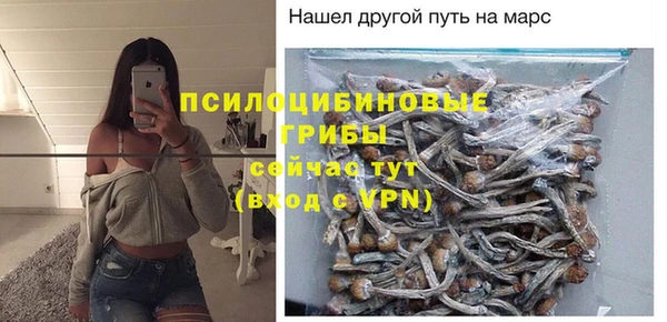 a pvp Майский