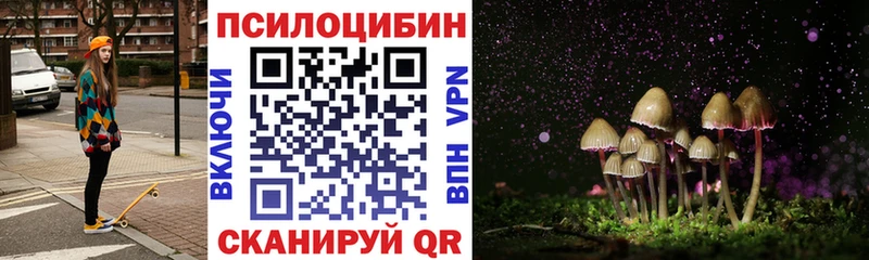 купить наркотик  Дальнереченск  Псилоцибиновые грибы GOLDEN TEACHER 