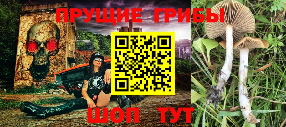 Дальнереченск  Псилоцибиновые грибы Magic Shrooms  Вход с VPN 