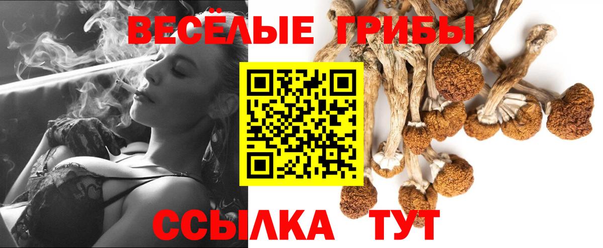 Псилоцибиновые грибы Psilocybine cubensis Дальнереченск